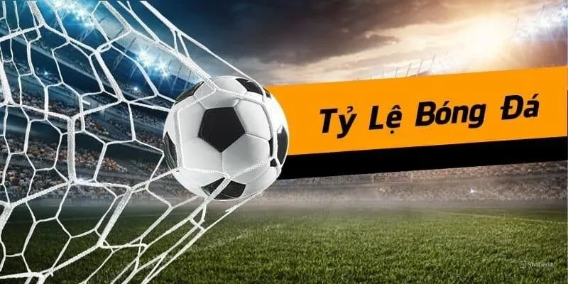 Cập nhật nhiều tính năng khác